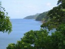 Guanacaste View