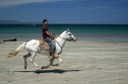 horseback riding on the beach is one of the things to do besides kite boarding when the seldom day with no winds comes along.jpg