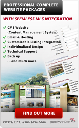 Complete Website Packages with MLS Integration for Real Estate Professionals